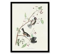 Artery8 Canadian Titmouse Bird Wall Art Print Framed Poster 12x16 inch Artwork By Audubon : Small Woodland Bird Artwork Perfect For Hallway Or Study Capturing Stillness Focus And Natural Grace