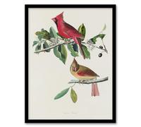 Artery8 Cardinal Grosbeak Bird Framed Wall Art Print A4 Artwork By Audubon : Cardinal Bird Print Suited For Hallway Or Living Room Offering Vibrant Red Contrast And Classic Beauty