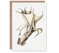 Artery8 Carl Chun Art Card Cockeyed Squid Vintage Illustration