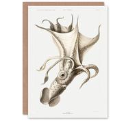 Artery8 Carl Chun Art Card Cockeyed Squid Vintage Illustration