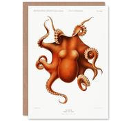 Artery8 Carl Chun Art Card Octopus Vintage Cephalopod Illustration