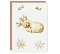 Artery8 Carl Chun Art Card Vintage Cephalopod Marine Life Illustration