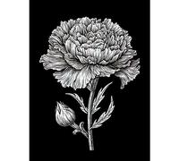 Artery8 Carnation Flower Black and White Linocut Print Extra Large XL Wall Art Poster Print