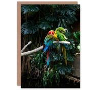 Artery8 Carol M Highsmith Art Card Colourful Sleeping Parrots Photo