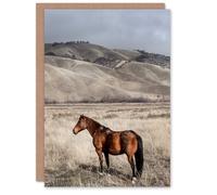 Artery8 Carol M Highsmith Art Card Lone Horse in a Ranch Photograph
