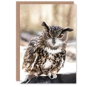 Artery8 Carol M Highsmith Art Card Long Eared Owl Perched On A Rock