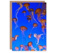 Artery8 Carol M Highsmith Art Card Monterey Bay Aquarium Jellyfish