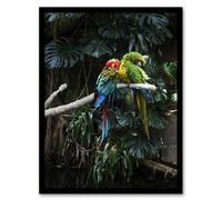Artery8 Carol M Highsmith Colourful Sleeping Parrots Photo Framed Art Print | Size: A3 Artery8 Multicolor A3