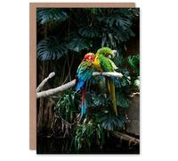 Artery8 Carol M Highsmith Personalised Art Card Colourful Sleeping Parrots Photo