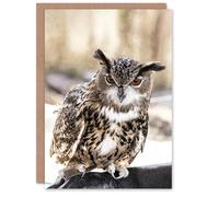 Artery8 Carol M Highsmith Personalised Art Card Long Eared Owl Perched On A Rock