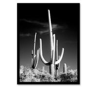 Artery8 Carol M Highsmith Saguaro Cactus Black White Photograph Framed Wall Art Print A4