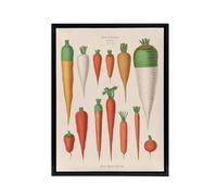 Artery8 Carrots Vegetables Kitchen Ernst Benary Framed Canvas Wall Art Print in White | Size: W12" x H16" Artery8 White W12" x H16"