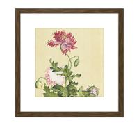 Artery8 Castiglione Opium Poppy Flower Painting 8X8 Inch Square Wooden Framed Wall Art Print Picture with Mount in Brown Artery8 Brown