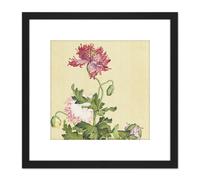 Artery8 Castiglione Opium Poppy Flower Painting 8X8 Inch Square Wooden Framed Wall Art Print Picture with Mount in Black Artery8 Black