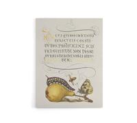 Artery8 Caterpillar Pear & Butterfly Calligraphy Canvas Wall Art Print in White | Size: W24" x H32" Artery8 White W24" x H32"