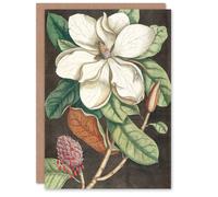 Artery8 Catesby Art Card Altissima Flower Laurel Tree Magnolia Artery8 Multicolor