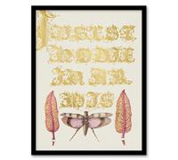 Artery8 Chard And Red Winged Grasshopper Calligraphy Framed Wall Art Print 12X16"