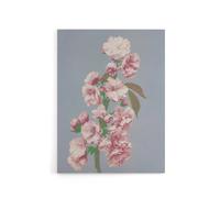 Artery8 Cherry Blossom Flower Bloom Canvas Wall Art Print Ogawa Kazumasa in Pink | Size: W24" x H32" Artery8 Pink W24" x H32"