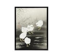 Artery8 Chicks Birds Worms Framed Canvas Wall Art Print Vintage Japan : Artwork by Ohara Koson 18x24 Charming wildlife moment enlivening nurseries or nature-themed spaces