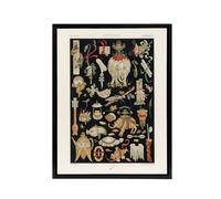 Artery8 Chinese Ornamental Objects Racinet Black Framed Canvas Wall Art | Size: W24" x H32" Artery8 Black W24" x H32"