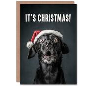 Artery8 Christmas Card Black Labrador Photograph Dog in Santa Hat Funny