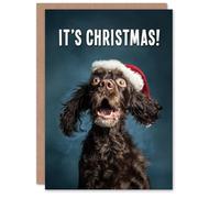 Artery8 Christmas Card Cocker Spaniel Photograph Dog in Santa Hat Funny