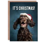 Artery8 Christmas Card Cocker Spaniel Photograph Dog in Santa Hat Funny