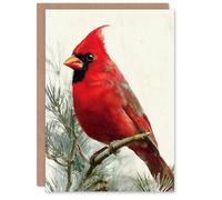 Artery8 Christmas Card Red Cardinal Bird Perched on Pine Tree Branch