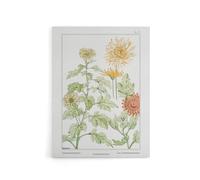 Artery8 Chrysanthemum Flower Canvas Wall Art Print Vintage Floral : by Verneuil 18x24 Golden floral design radiating cheer in dining areas, treasured by those who love Art Nouveau style