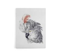 Artery8 Cockatoo Parrot Head Watercolour Schouman Canvas Wall Art Print in White | Size: W18" x H24" Artery8 White W18" x H24"