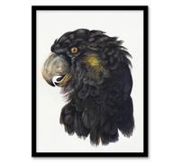 Artery8 Cockatoo Parrot Head Watercolour Schouman Framed Wall Art Print 12X16"
