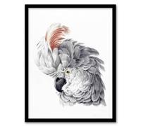 Artery8 Cockatoo Parrot Head Watercolour Schouman Framed Wall Art Print in White | Size: A4 Artery8 White A4