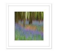 Artery8 Colin Bluebells Beech Trees Impressionist 8X8 Inch Square Wooden Framed Wall Art Print Picture with Mount in White Artery8 White