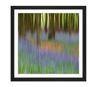 Artery8 Colin Bluebells Beech Trees Impressionist Square Wooden Framed Wall Art Print Picture 16X16 Inch