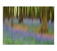Artery8 Colin Bluebells Beech Trees Impressionist Unframed Wall Art Print Poster Home Decor Premium