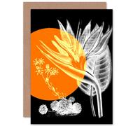 Artery8 Colour Pop Circle Plant Greetings Card in Orange Artery8 Orange