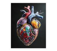 Artery8 Colourful Anatomical Human Heart Bold Modern Living Room Large Wall Art Poster Print Thick Paper 18X24 Inch
