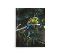 Artery8 Colourful Sleeping Parrots Carol M Highsmith Canvas Wall Art Print | Size: W18" x H24" Artery8 Multicolor W18" x H24"