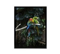 Artery8 Colourful Sleeping Parrots Carol M Highsmith Framed Canvas Wall Art | Size: W18" x H24" Artery8 Multicolor W18" x H24"