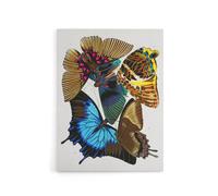 Artery8 Colourful Vintage Butterflies Canvas Wall Art Print Eugene Seguy | Size: W12" x H16" Artery8 Multicolor W12" x H16"