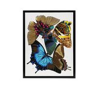Artery8 Colourful Vintage Butterflies Framed Canvas Wall Art Print Eugene Seguy | Size: W24" x H32" Artery8 Multicolor W24" x H32"