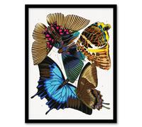Artery8 Colourful Vintage Butterflies Vintage Framed Wall Art Print Eugene Seguy | Size: A4 Artery8 Multicolor A4
