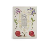 Artery8 Columbines & Sweet Cherries Calligraphy Canvas Wall Art Print in White | Size: W12" x H16" Artery8 White W12" x H16"