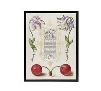 Artery8 Columbines & Sweet Cherries Calligraphy Framed Canvas Wall Art Print in White | Size: W12" x H16" Artery8 White W12" x H16"