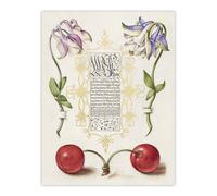 Artery8 Columbines & Sweet Cherries Calligraphy Wall Art Poster Print in White | Size: W18" x H24" Artery8 White W18" x H24"