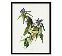 Artery8 Connecticut Warbler Bird Audubon Nature Framed Wall Art Print in White | Size: A4 Artery8 White A4