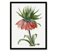 Artery8 Crown Imperial Flower Wall Art Print Framed Poster 12x16 inch Artwork By Redoute : Imperial Stem Composition Introducing Stately Poise To Dining Or Entry Hallway