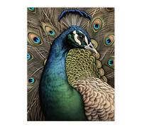 Artery8 Curious Peacock Detailed Pen And Ink Study Turquoise Modern Extra Large XL Wall Art Poster Print