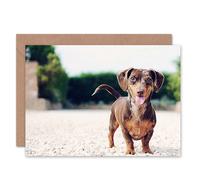 Artery8 Cute Dachshund Puppy Sausage Dog Lover Birthday Card Artery8 Multicolor