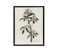 Artery8 Cuviers Kinglet Bird & Mountain Laurel Audubon Framed Canvas Art in White | Size: W24" x H32" Artery8 White W24" x H32"